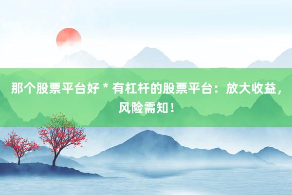 那个股票平台好 * 有杠杆的股票平台：放大收益，风险需知！