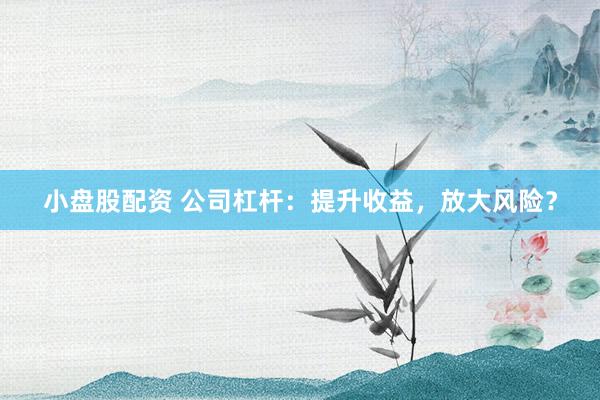小盘股配资 公司杠杆：提升收益，放大风险？