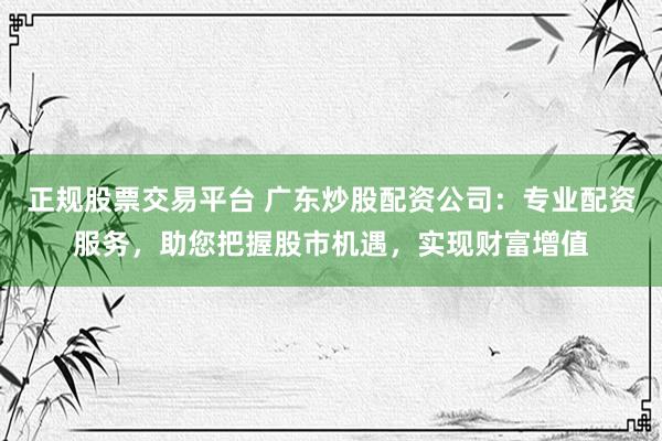 正规股票交易平台 广东炒股配资公司：专业配资服务，助您把握股市机遇，实现财富增值