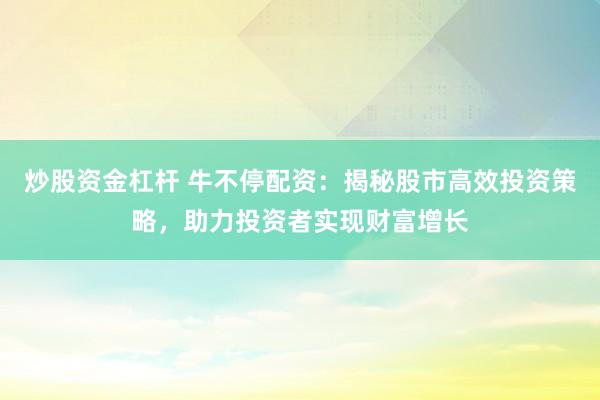 炒股资金杠杆 牛不停配资：揭秘股市高效投资策略，助力投资者实现财富增长