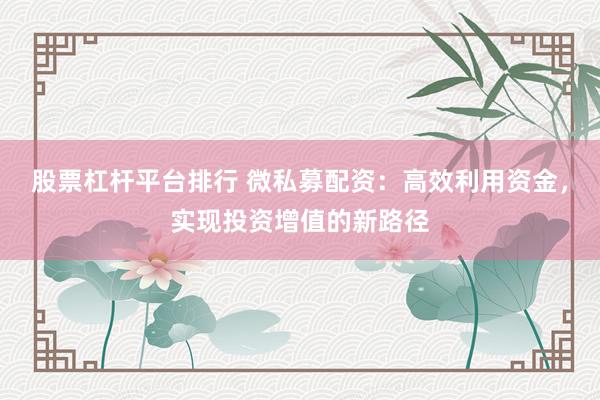 股票杠杆平台排行 微私募配资：高效利用资金，实现投资增值的新路径