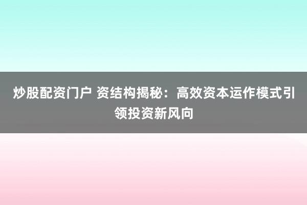 炒股配资门户 资结构揭秘：高效资本运作模式引领投资新风向