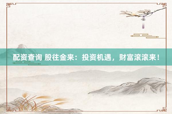 配资查询 股往金来：投资机遇，财富滚滚来！