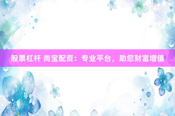 股票杠杆 尚宝配资：专业平台，助您财富增值
