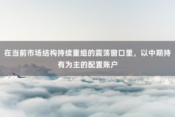 在当前市场结构持续重组的震荡窗口里，以中期持有为主的配置账户