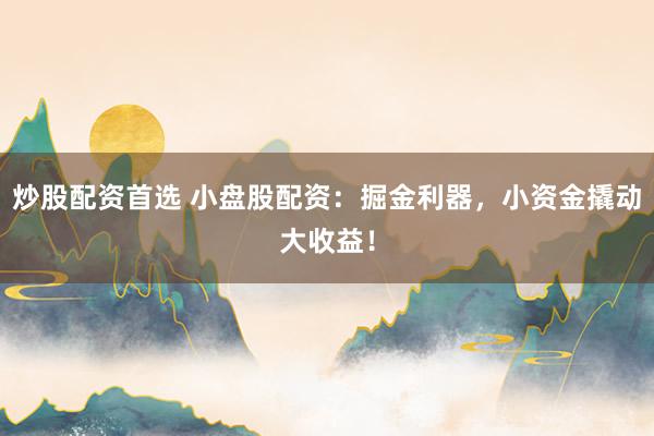 炒股配资首选 小盘股配资:掘金利器,小资金撬动大收益!