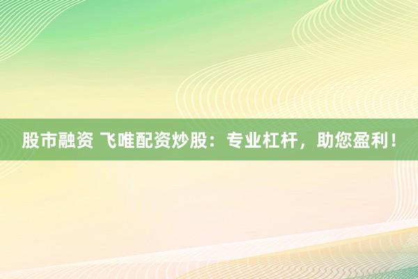 股市融资 飞唯配资炒股：专业杠杆，助您盈利！