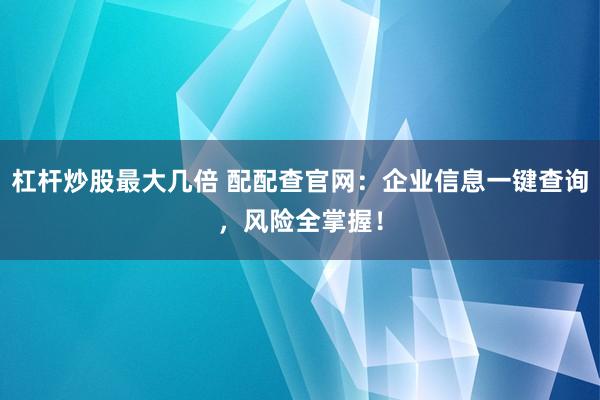 杠杆炒股最大几倍 配配查官网：企业信息一键查询，风险全掌握！