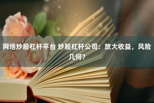网络炒股杠杆平台 炒股杠杆公司：放大收益，风险几何？